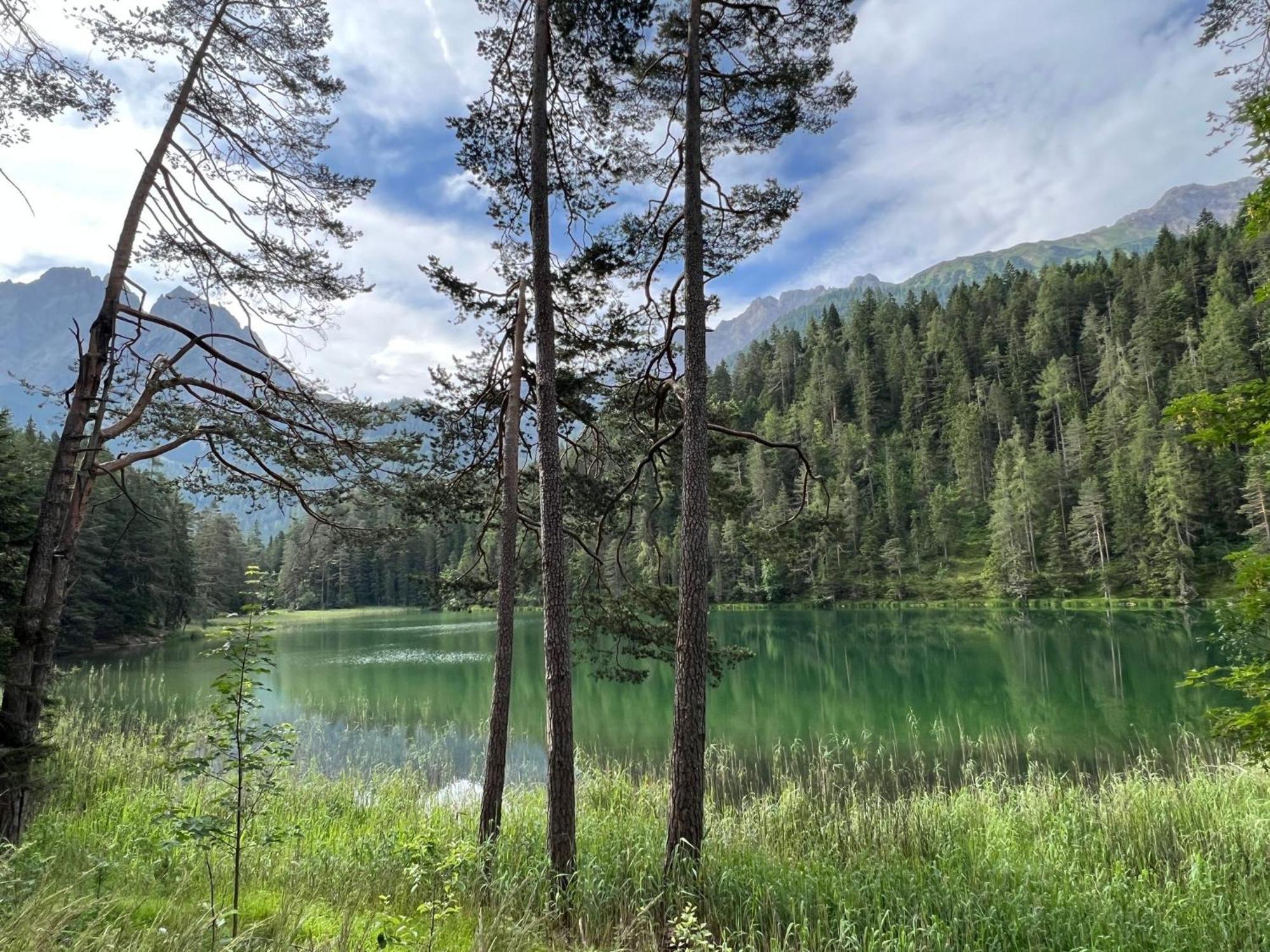 Haus An Der Sonne Fewo 2 Biberwier Dış mekan fotoğraf