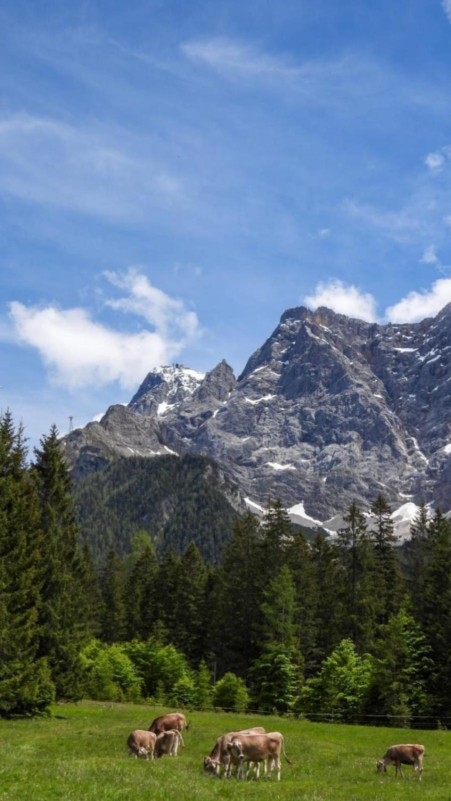 Haus An Der Sonne Fewo 2 Biberwier Dış mekan fotoğraf
