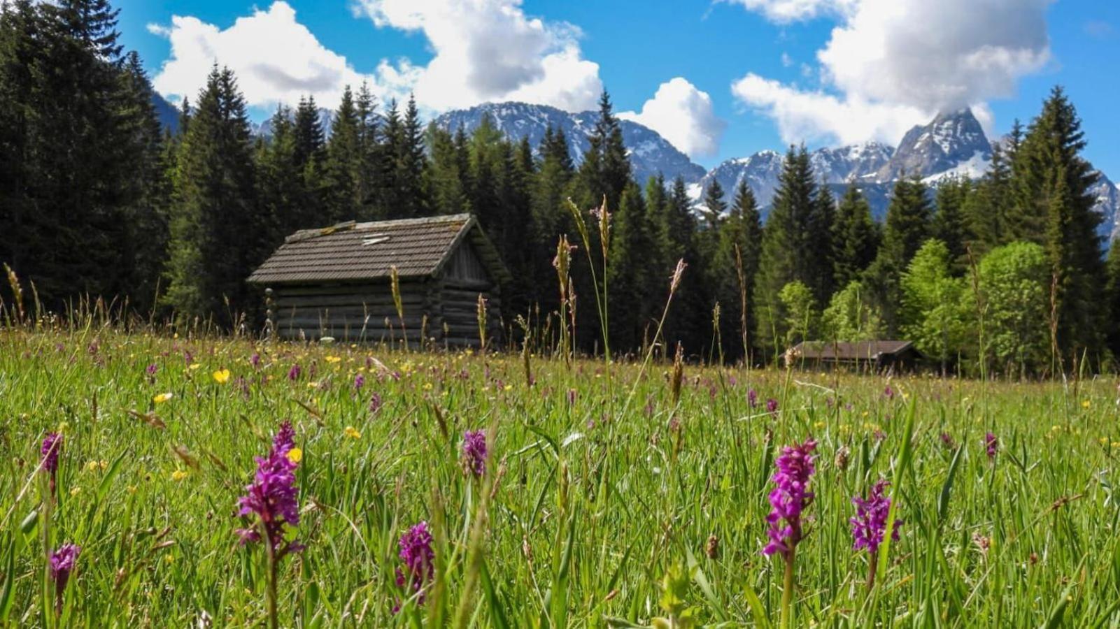 Haus An Der Sonne Fewo 2 Biberwier Dış mekan fotoğraf